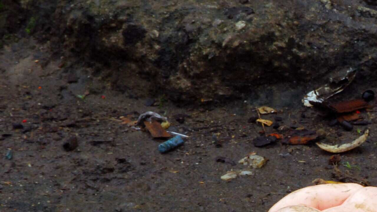 Killed by one who should have cared