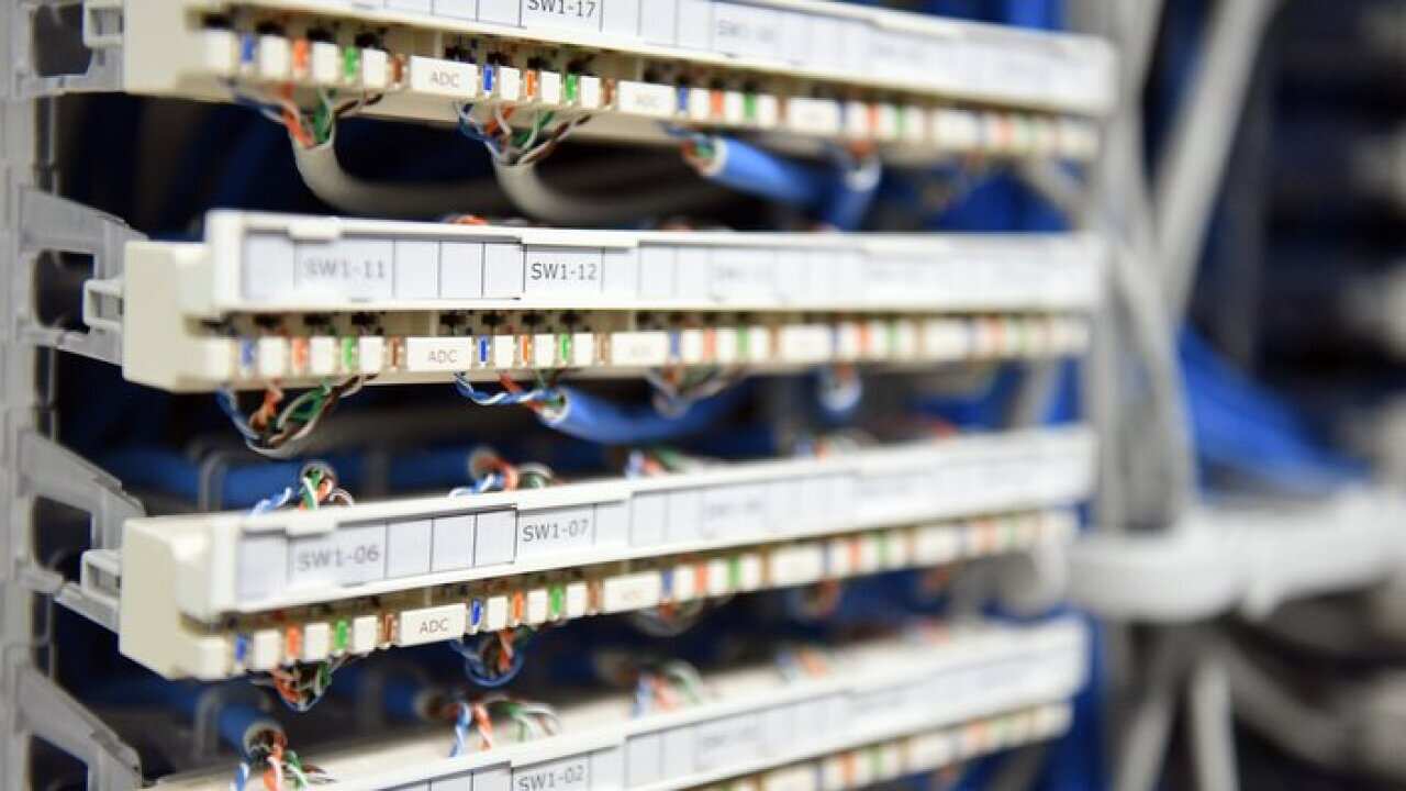 Ethernet data cables are seen in a server room in Canberra.