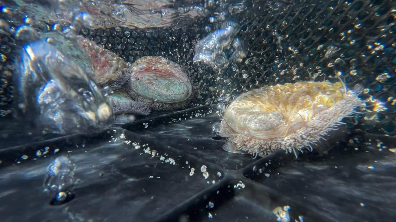 Image for read more article ''