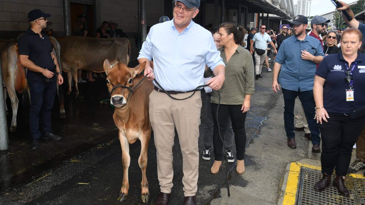 Scott Morrison at the Royal Easter show in Sydney (AAP).jpg