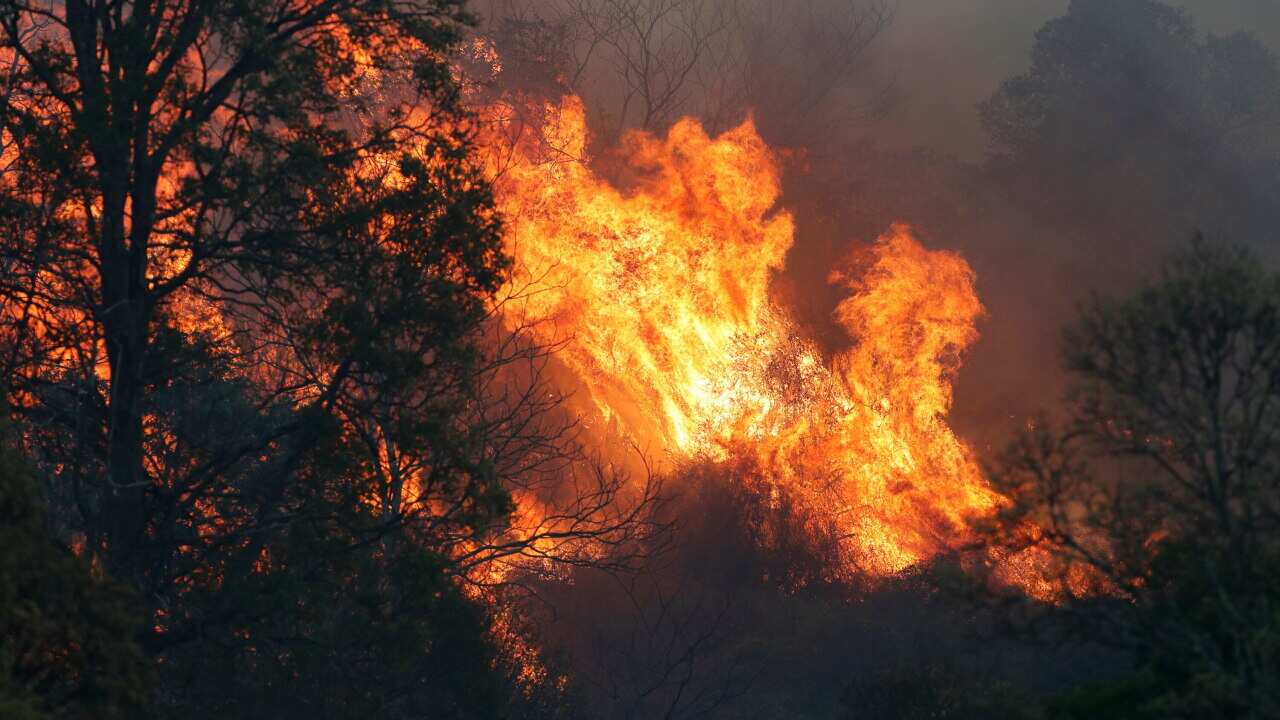 A bushfire near the rural town of Canungra in the Scenic Rim region of Queensland.