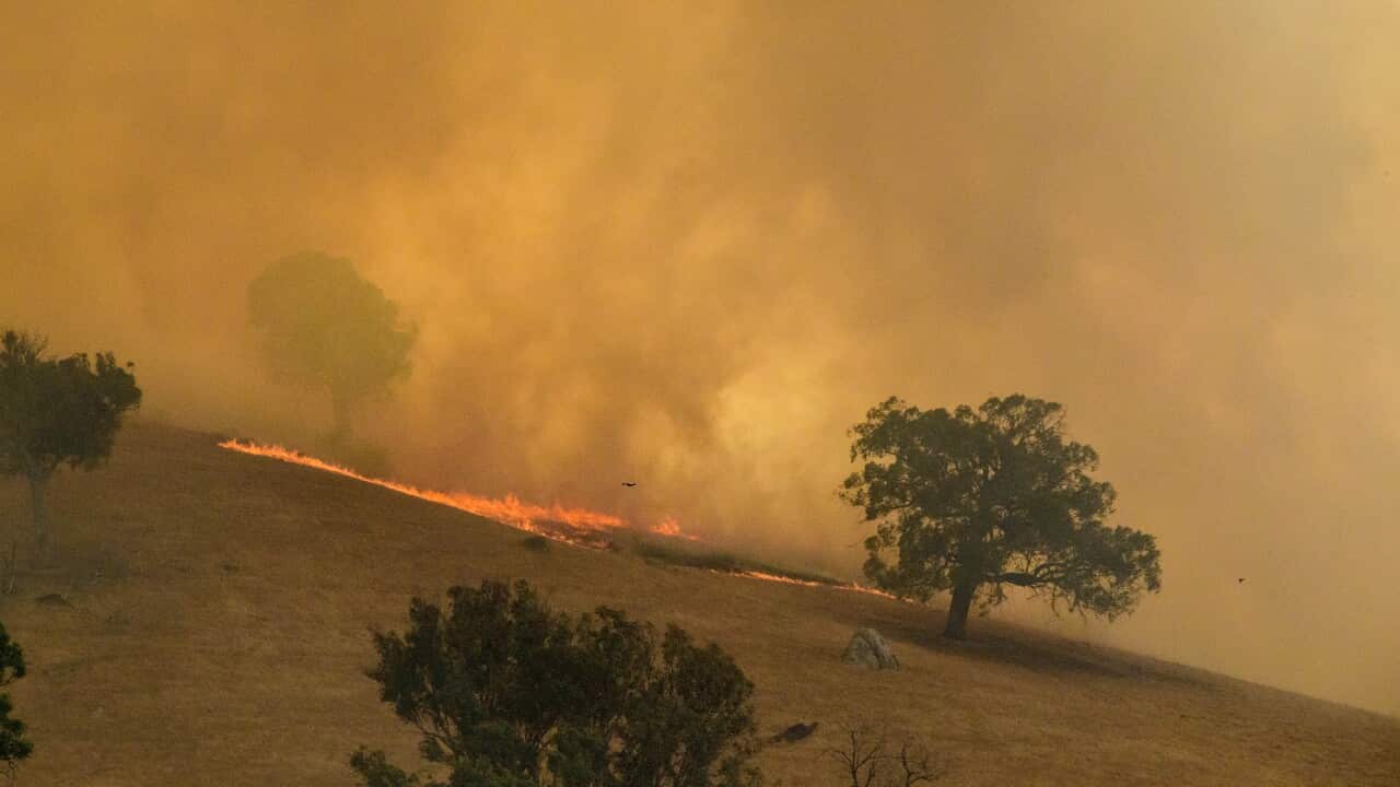 VICTORIA BUSHFIRES