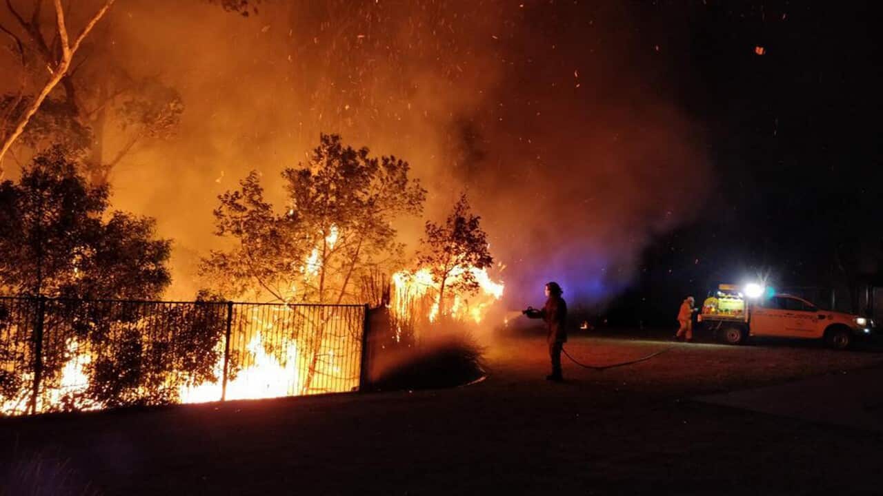 A supplied image obtained Tuesday, September 10, 2019 of firefighters battling a bushfire in Peregian Springs on the Sunshine Coast, Monday, September 9, 2019. (AAP Image/John Park) NO ARCHIVING, EDITORIAL USE ONLY