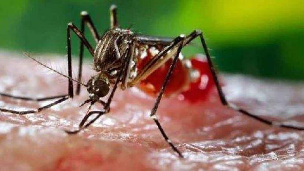 Image for read more article 'Te puede interesar:'