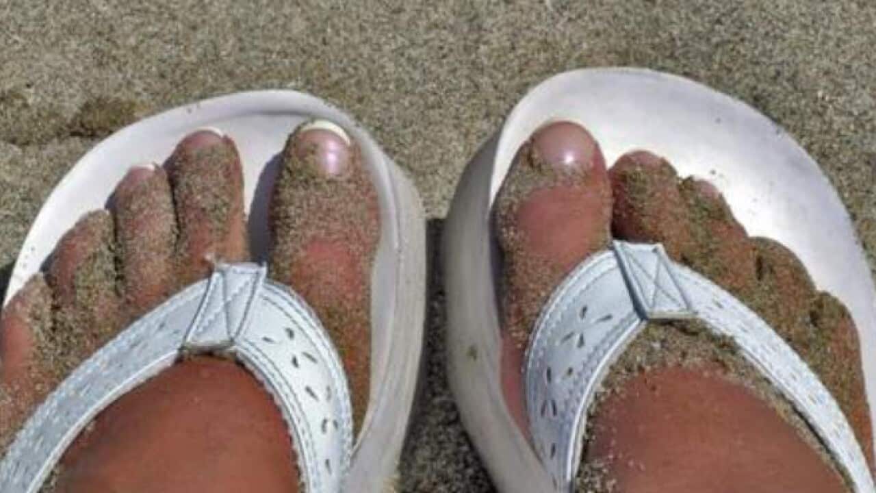 foot and mouth disease