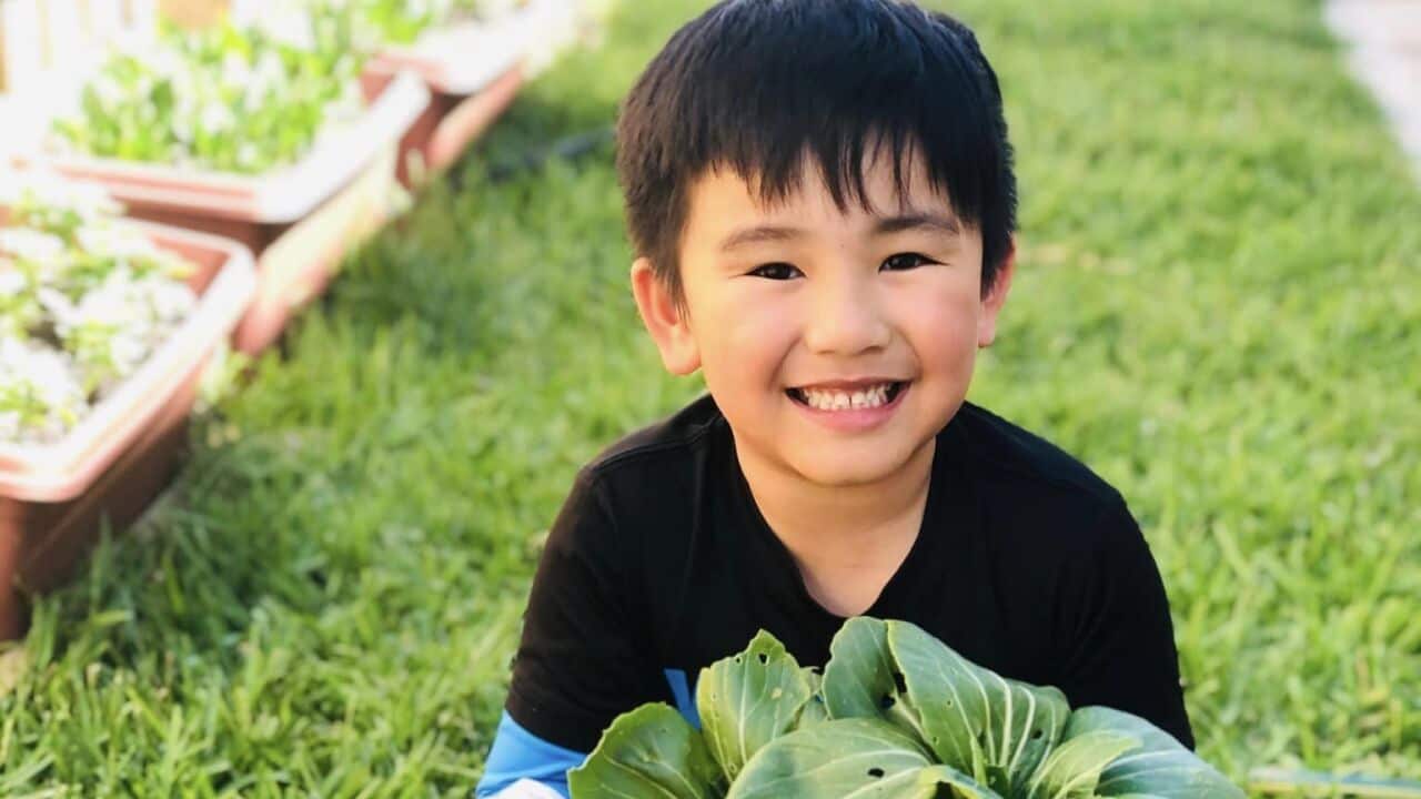 Image for read more article ''