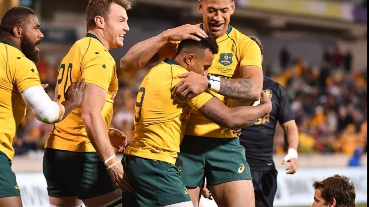 Wallabies players celebrate after scoring a try