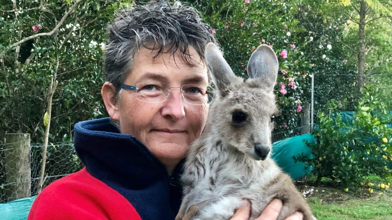 Susanne_Scheuter_Kangaroo open.jpg