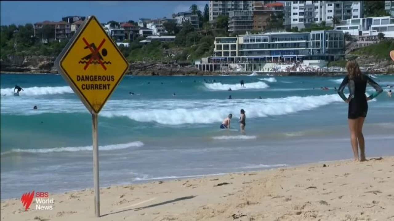 Drownings across several states prompt renewed warnings from life savers