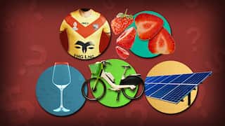 An assortment of pictures of strawberries, an NRL jersey, a solar panel and wine glass