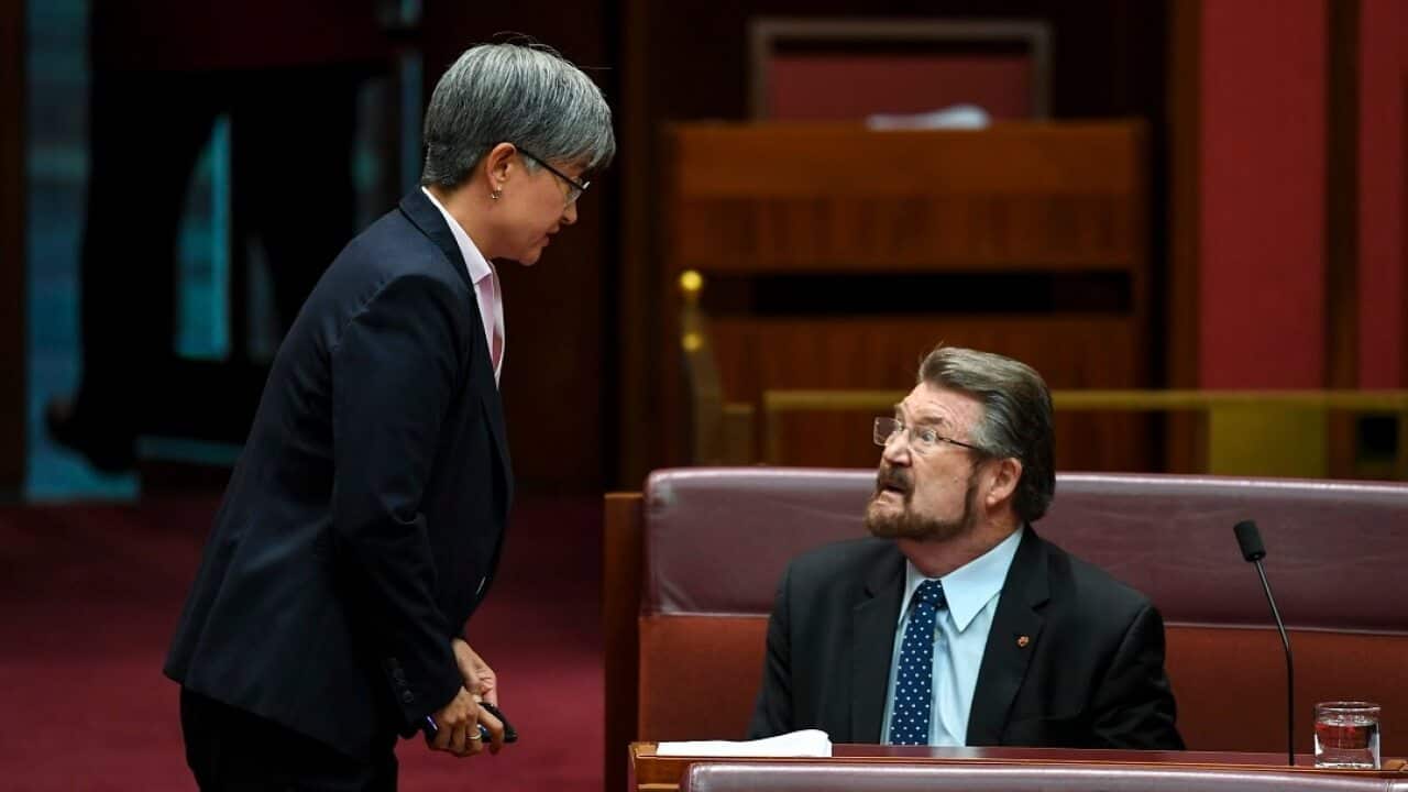 Senator Derryn Hinch (right) speaks to the Leader of the Opposition in the Senate Senator Penny Wong during debate in the Senate chamber at Parliament House in Canberra, Wednesday, February 13, 2019. (AAP Image/Lukas Coch) NO ARCHIVING
