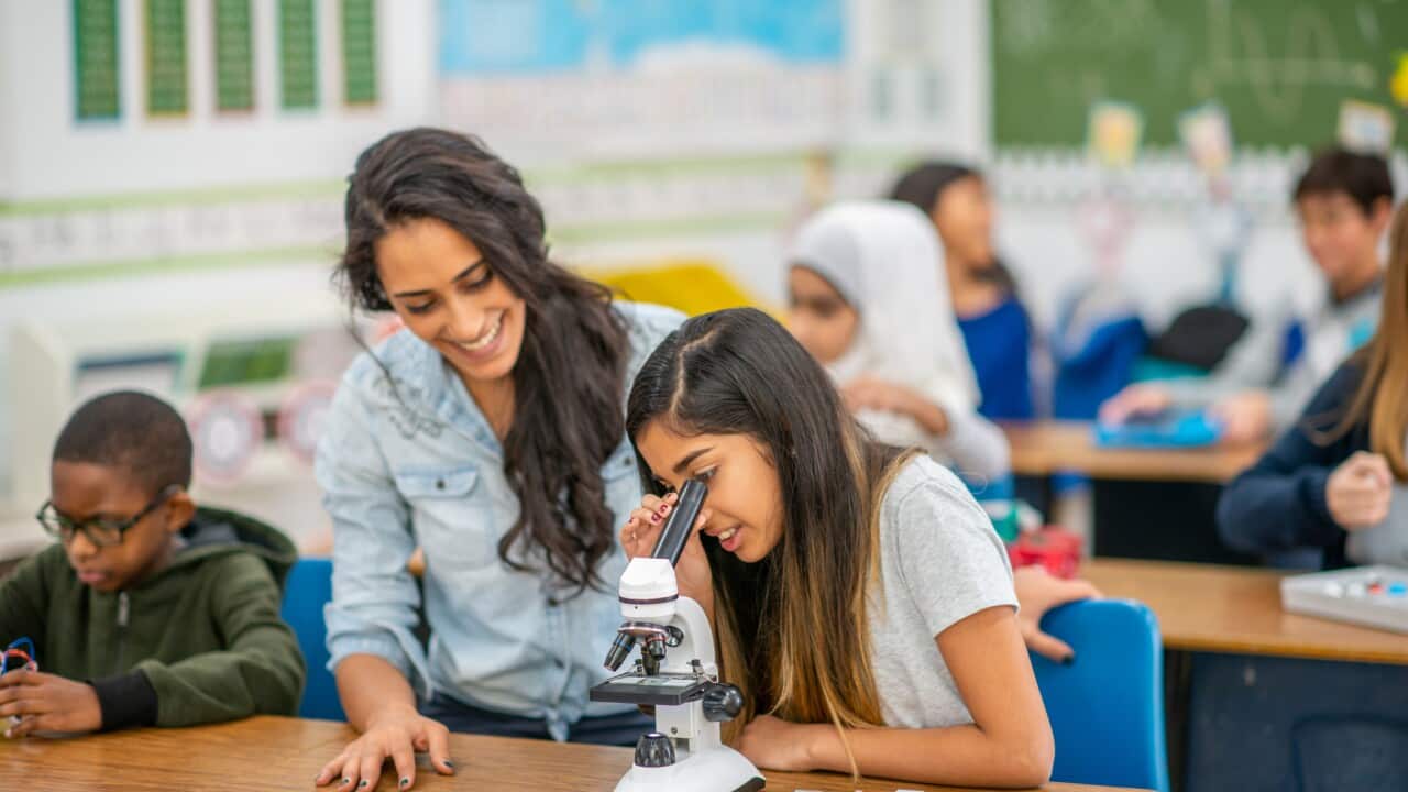 Taking a Closer Look