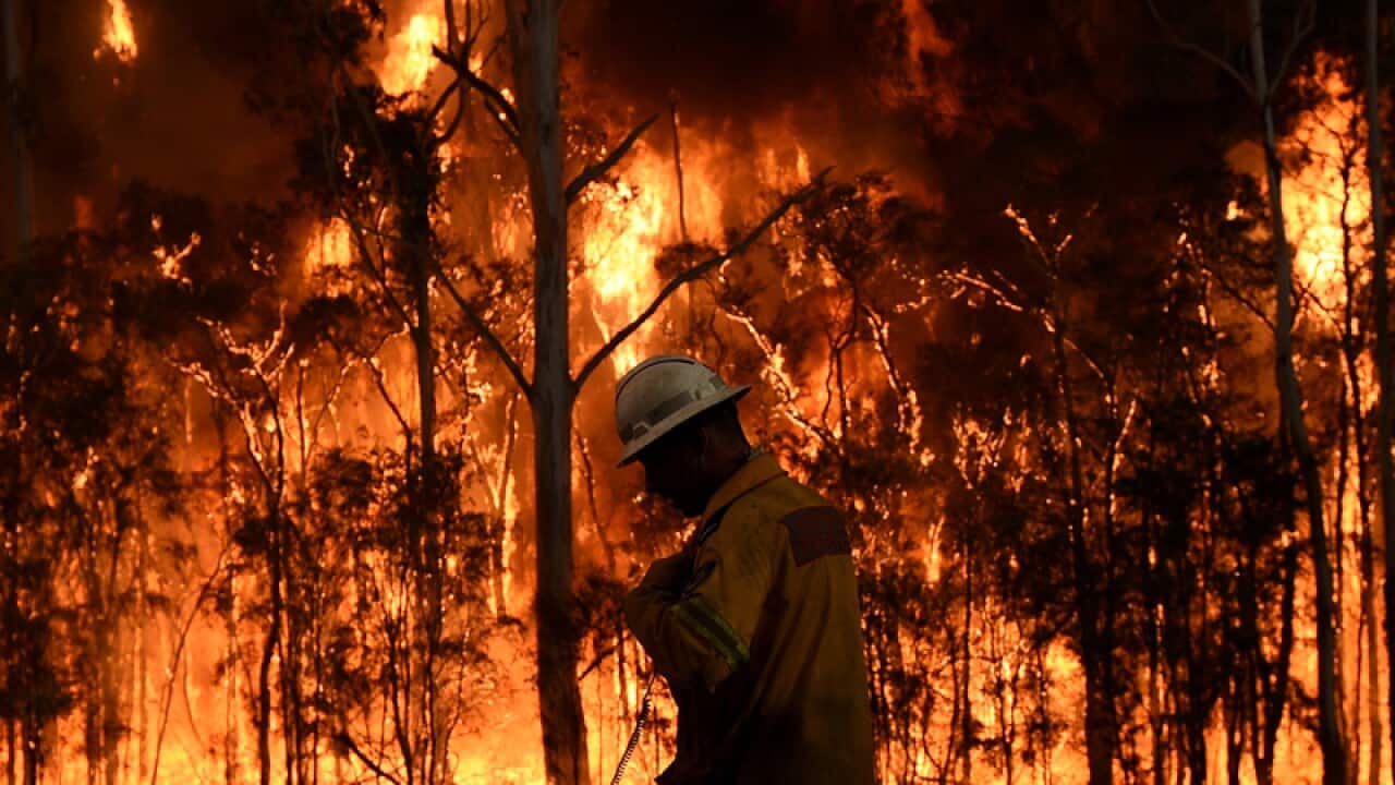 NSW Rural Fire Service firefighters fight a fire near Port Stephens
