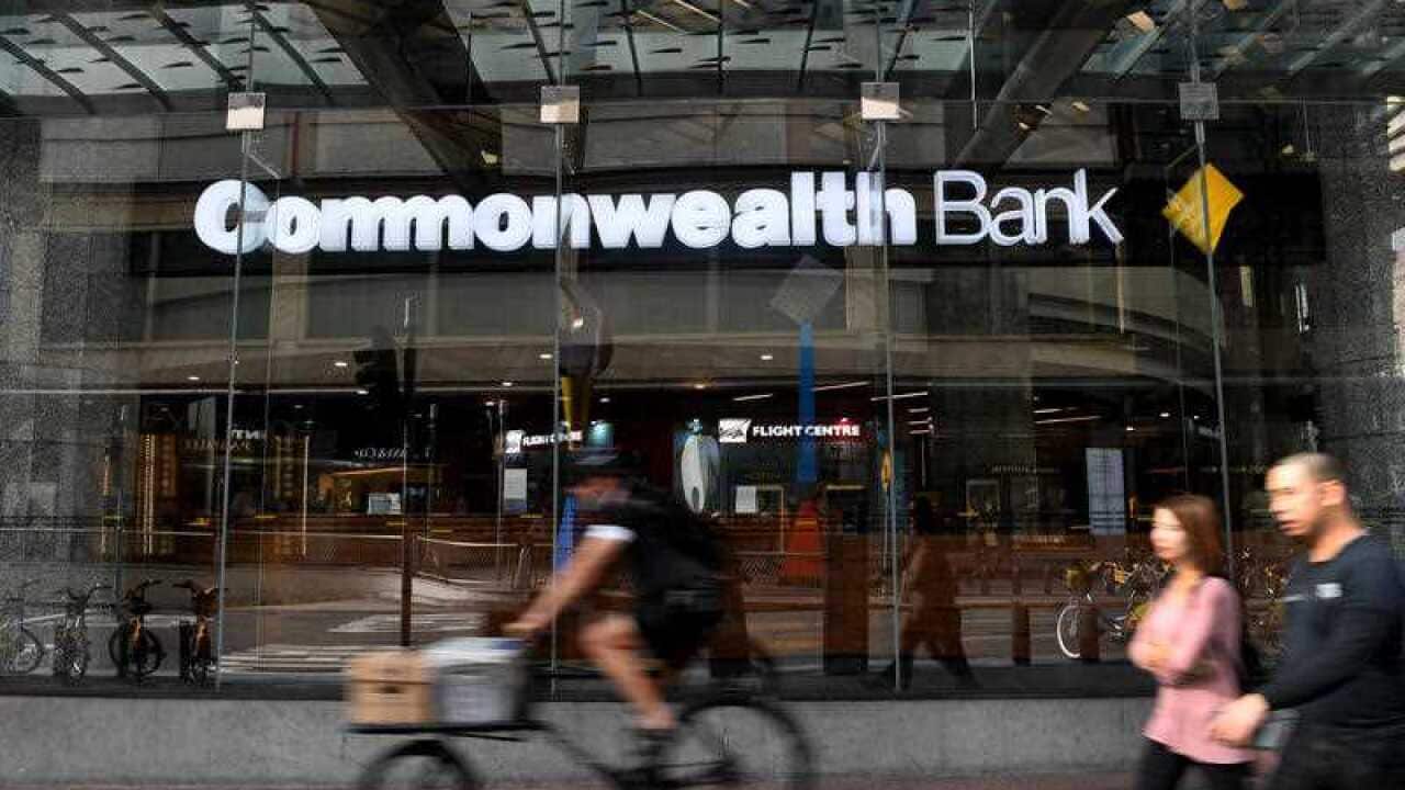 The Commonwealth Bank is being accused of 53,700 breaches of money laundering and terror financing laws.