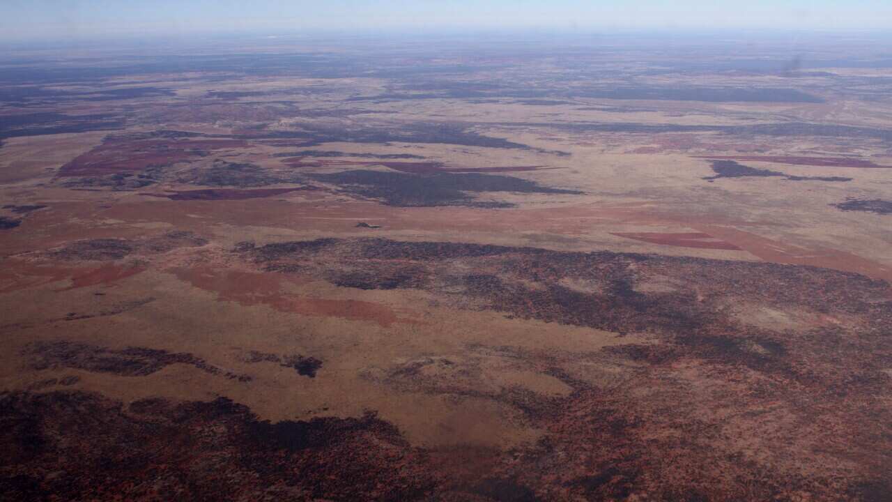 More than 700 workers from a COVID-19 ravaged Newmont mine near Alice Springs are set to start flying home after two weeks in quarantine.