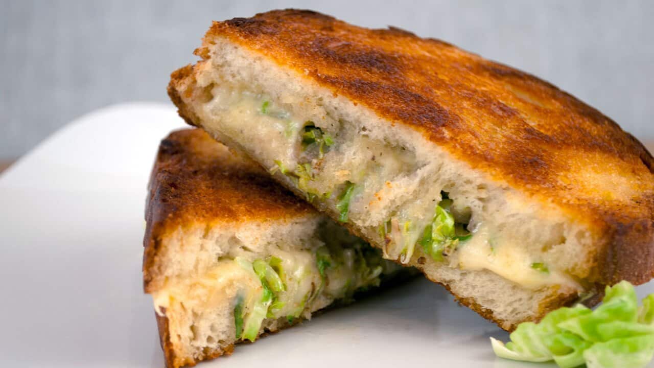 Brussels sprout and Havarti toasted sandwich