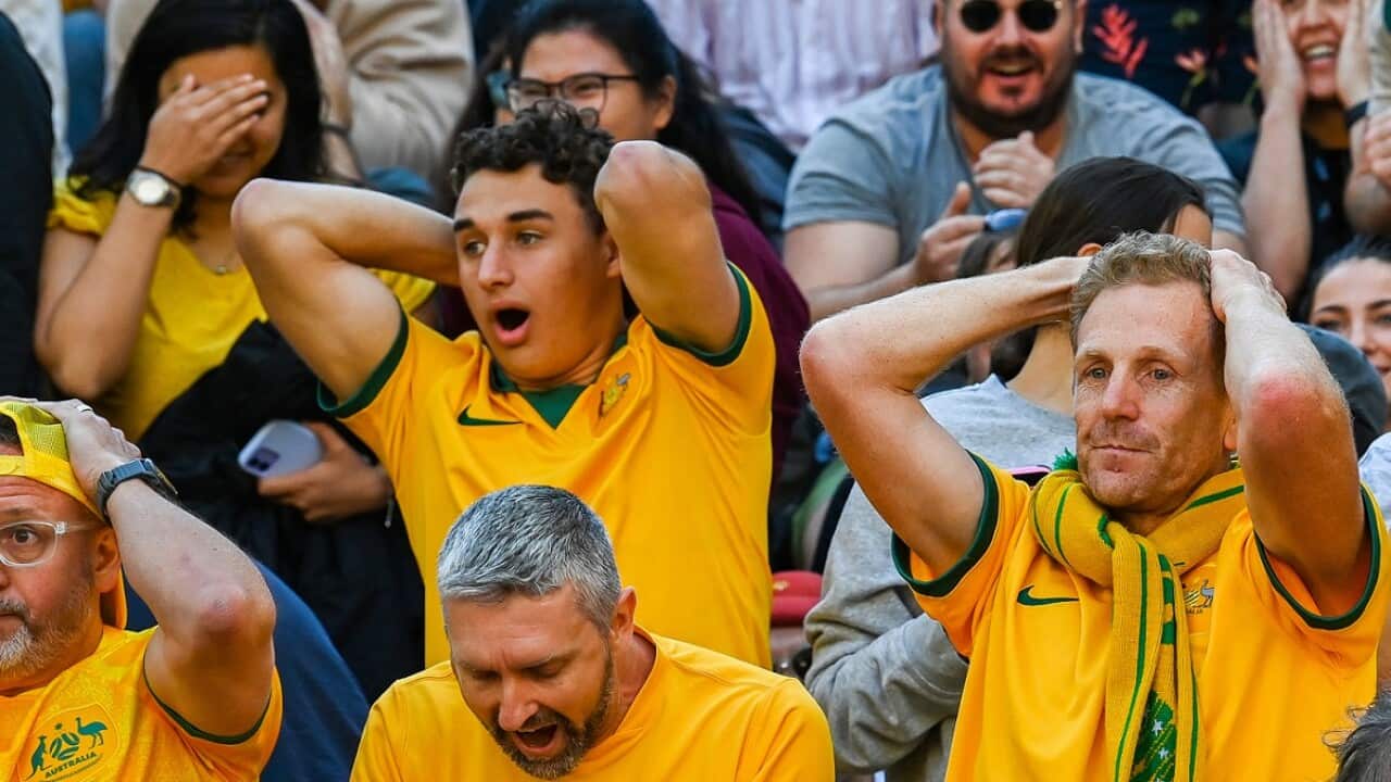 Image for read more article 'READ MORE'