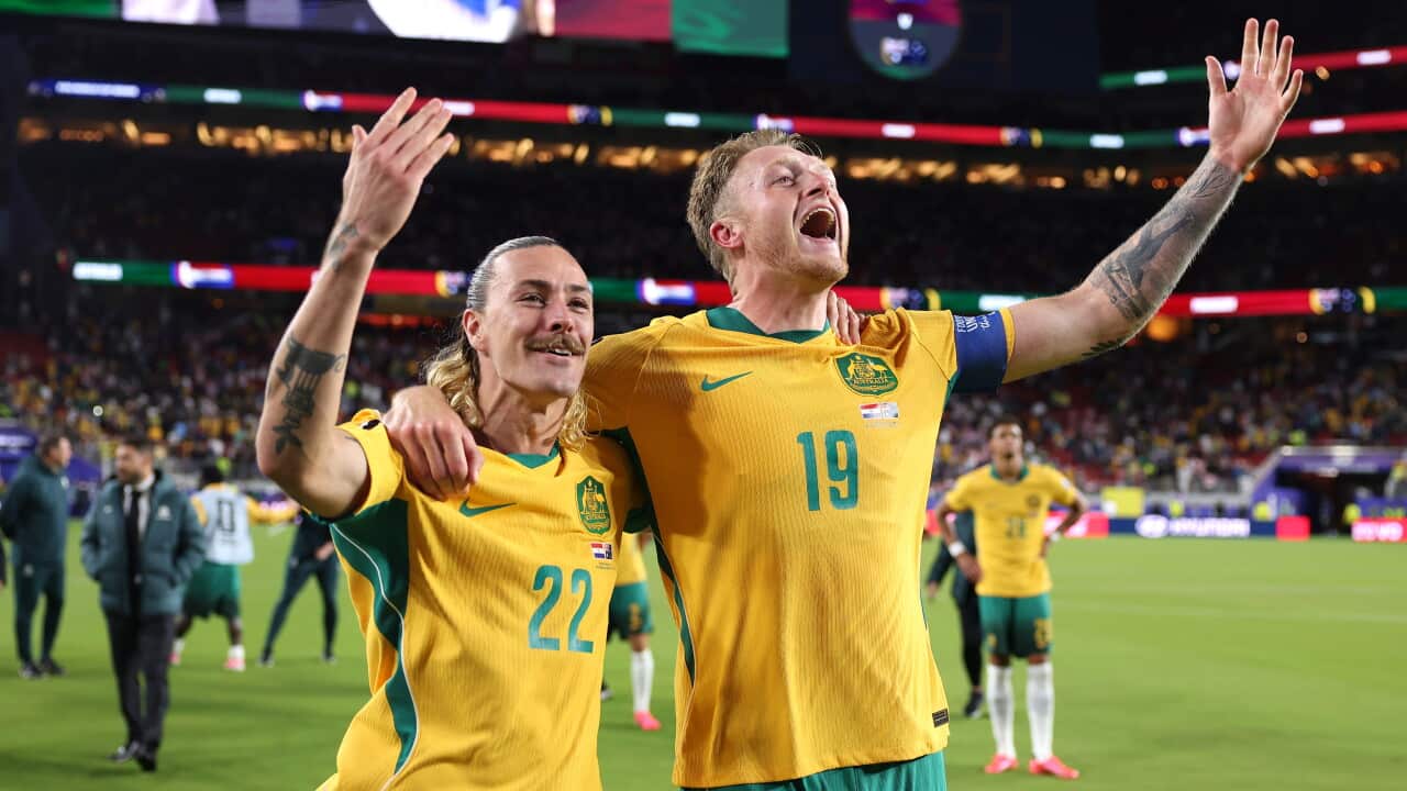 WATCH: Socceroos secure World Cup knockout stage entry with Paraguay draw | SBS News
