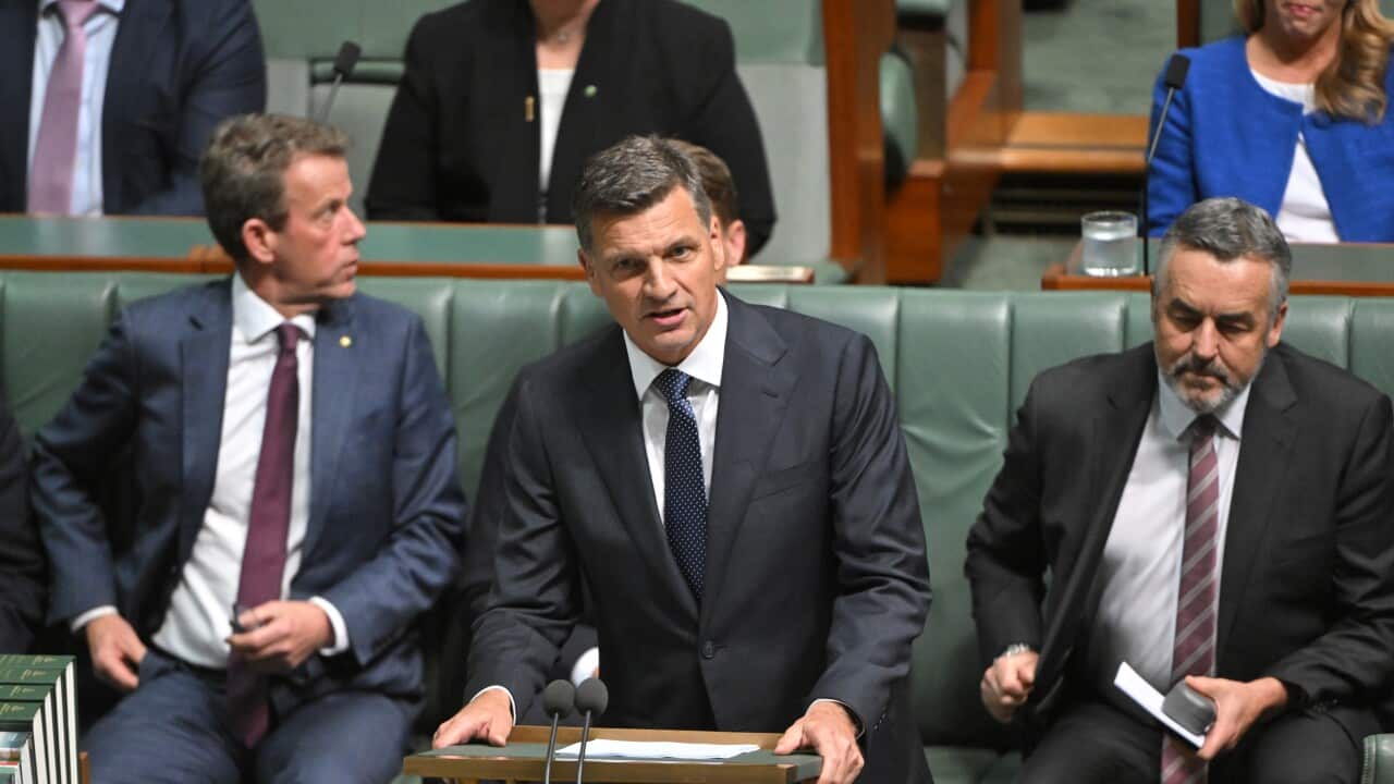 ANGUS TAYLOR BUDGET REPLY