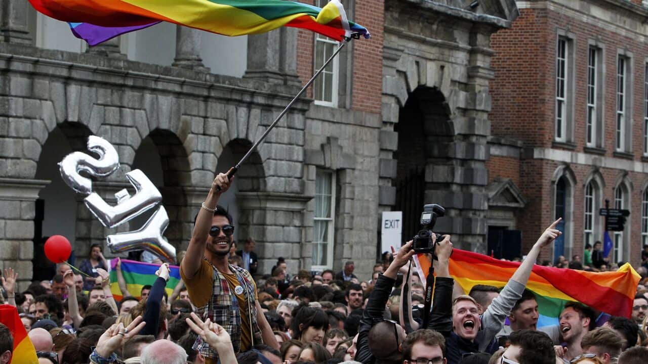 Yes voters celebrate at the Irish gay marriage referendum victory