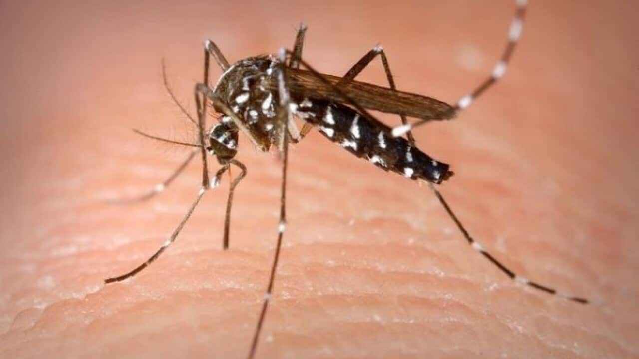 Zika Virus