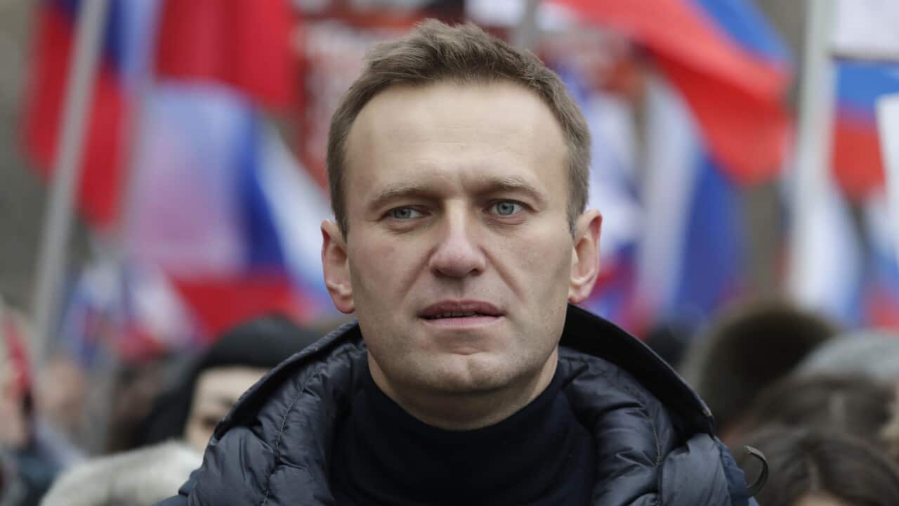 Russian opposition activist Alexei Navalny.