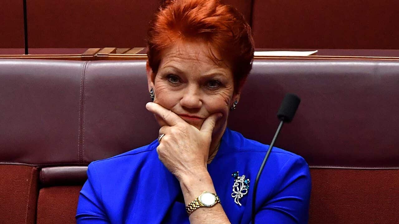 One Nation Senator Pauline Hanson called for 'anti-white racism' examples on Twitter.
