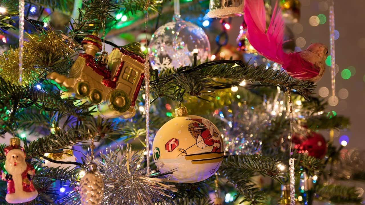 Image for read more article 'READ MORE'