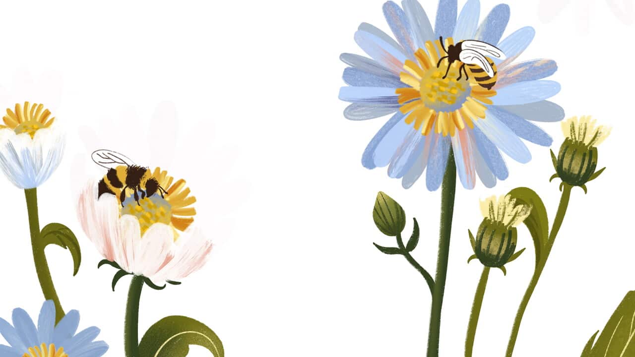 Illustration of bees on flowers