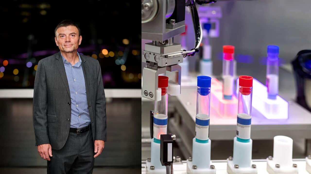 BIl Stavreski web.jpg