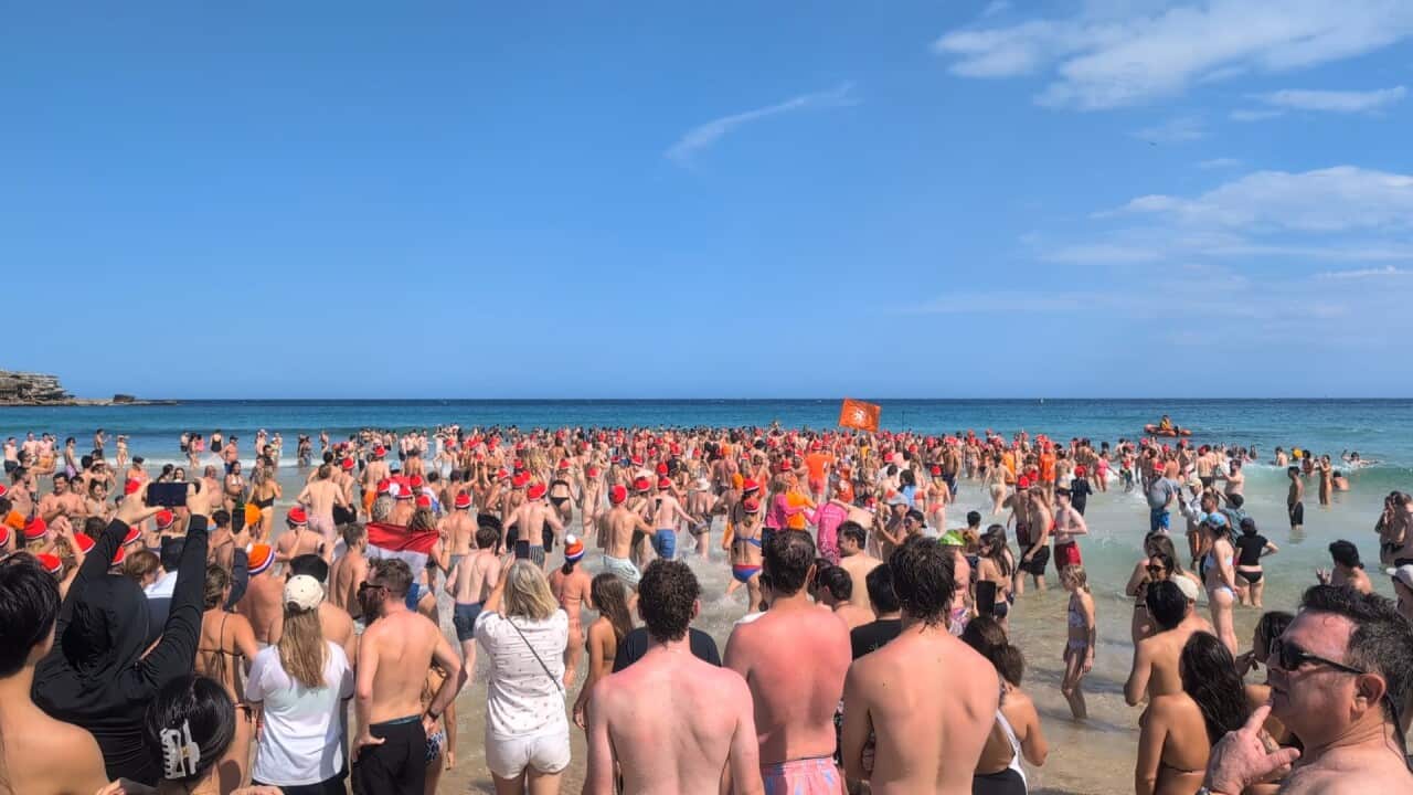 Bondi Nieuwjaarsduik 2025