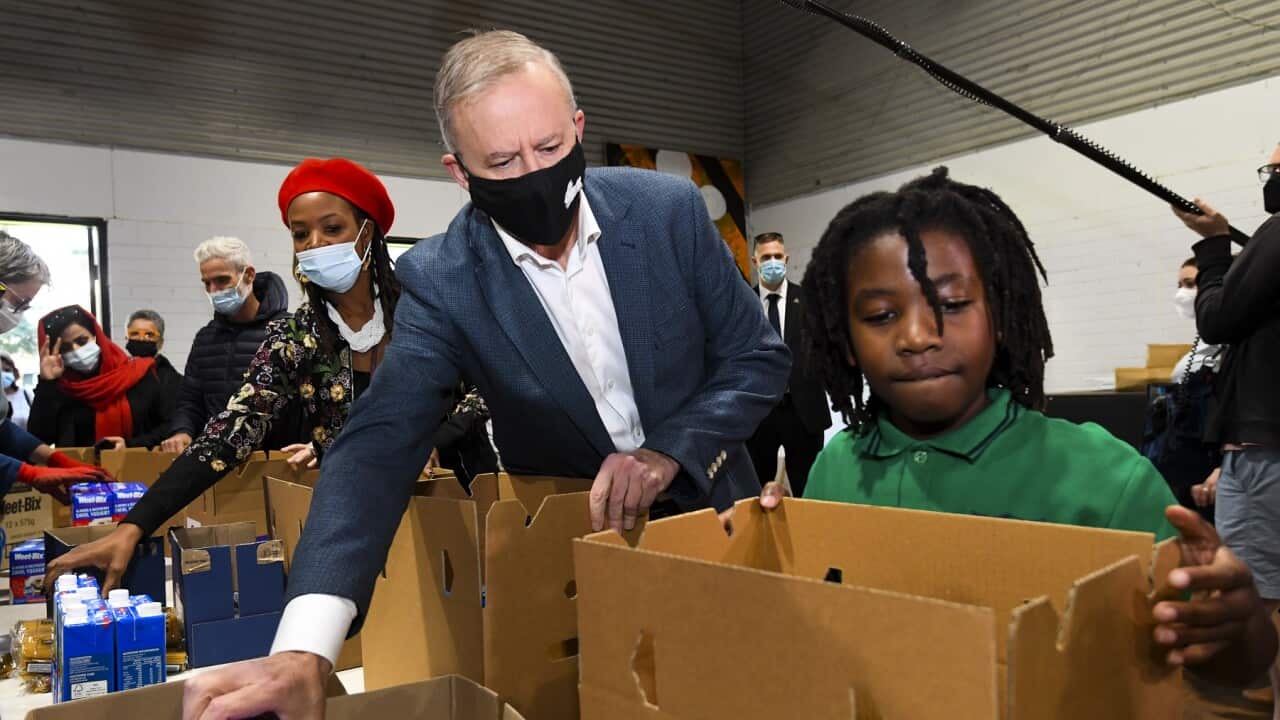 Opposition Leader Anthony Albanese