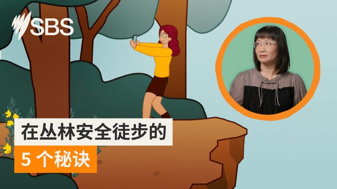 Image for read more article ''