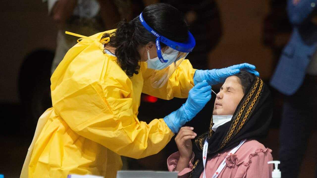 Spanish health care workers carrying out COVID tests of newly arrived Afghan refugees
