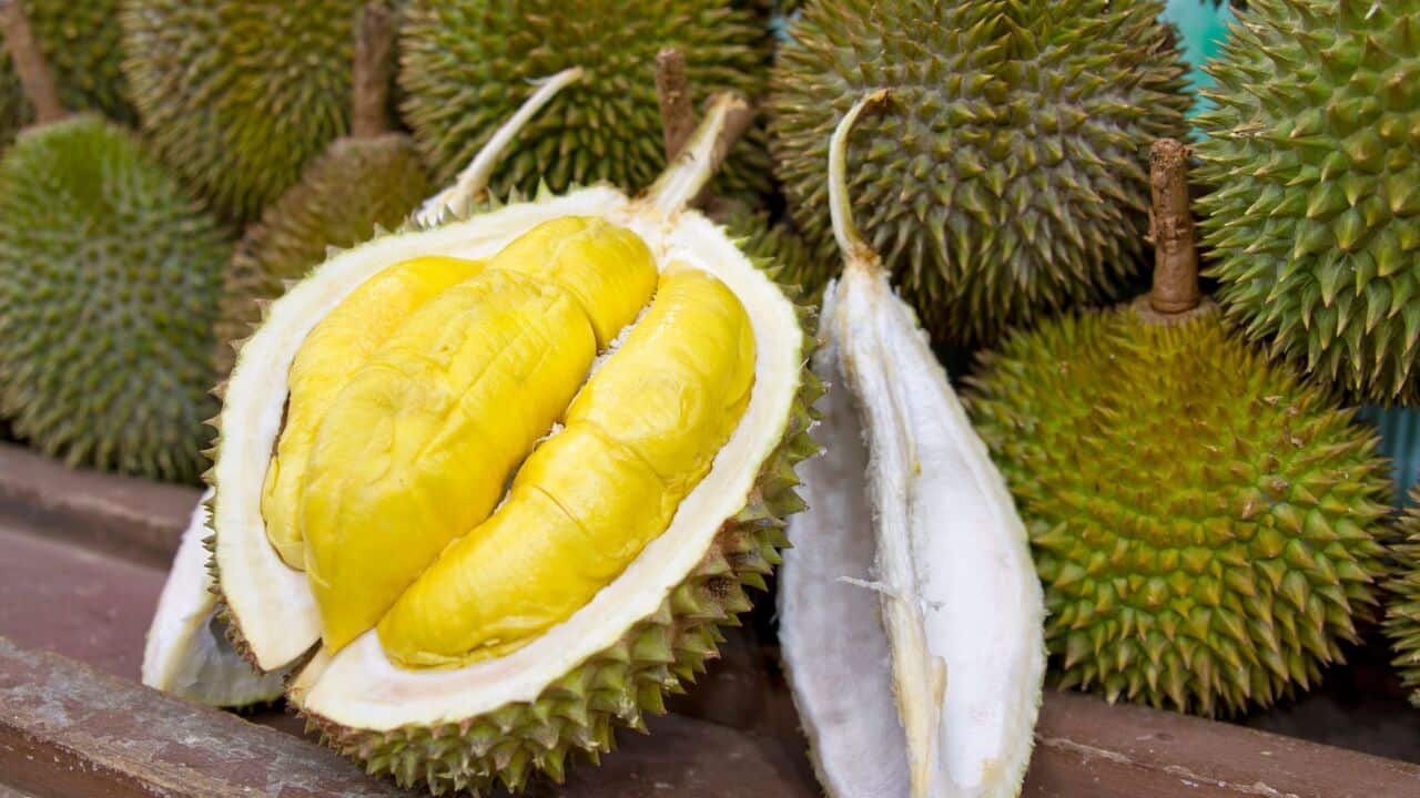 Durian from Philippines now avilable in Australia