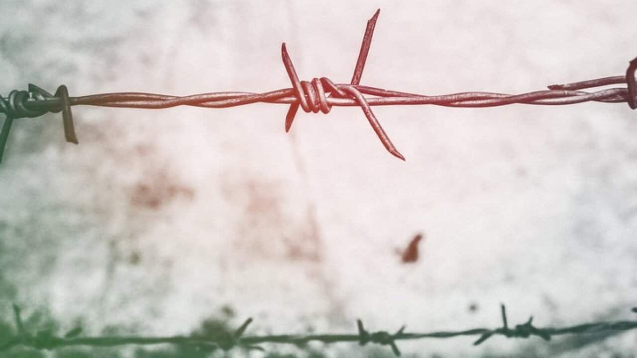 Barbed wire