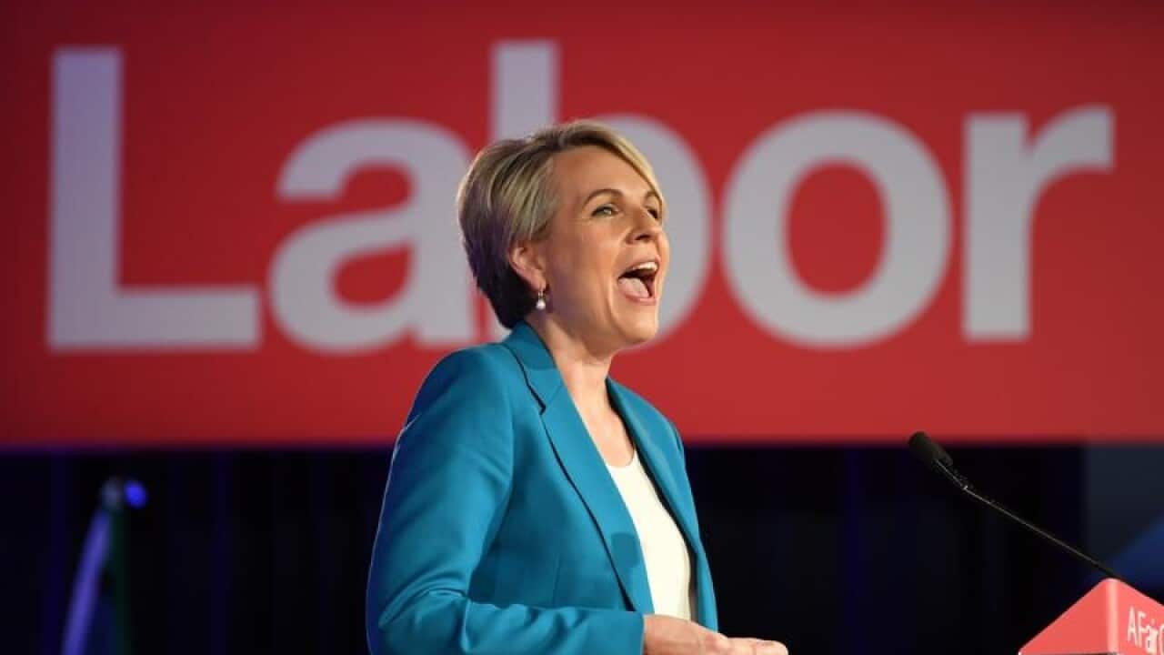 Shadow Employment Minister Tanya Plibersek
