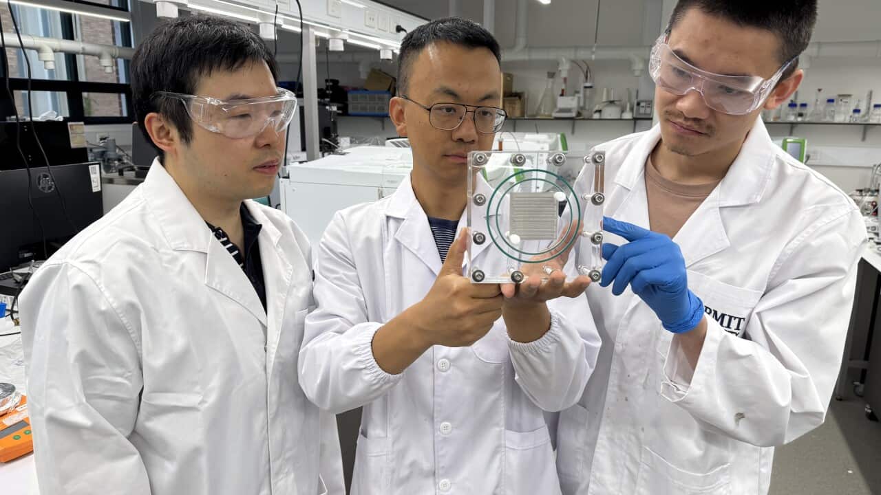 Image for read more article ''