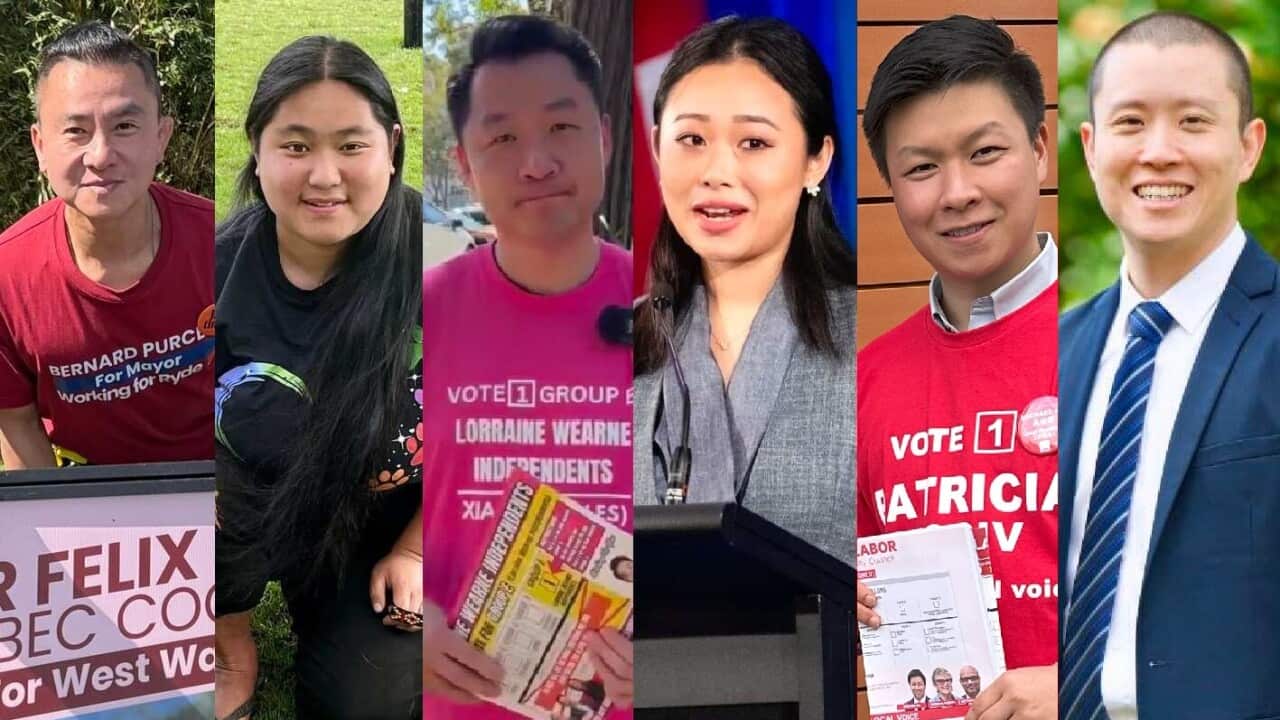 Chinese councilors NSW