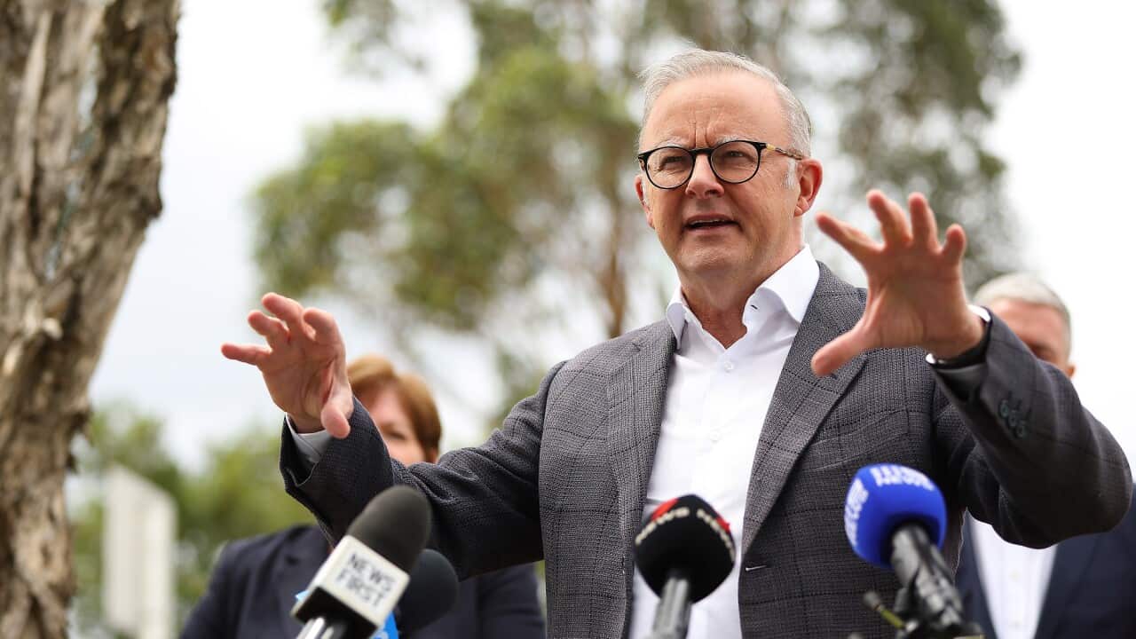 ANTHONY ALBANESE SYDNEY VISIT