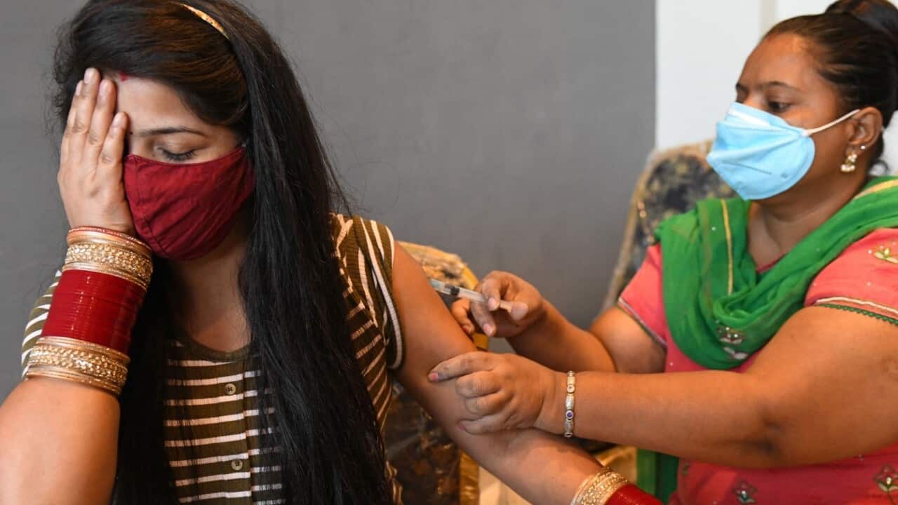 India COVID-19 vaccine