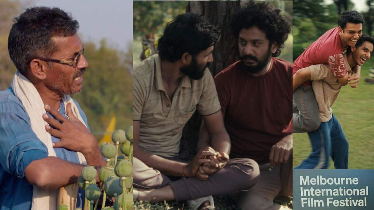 Copy of Pics (3).jpg