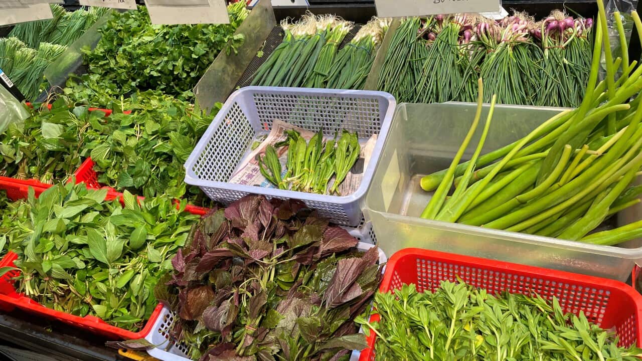 Image for read more article '過去のエピソード'