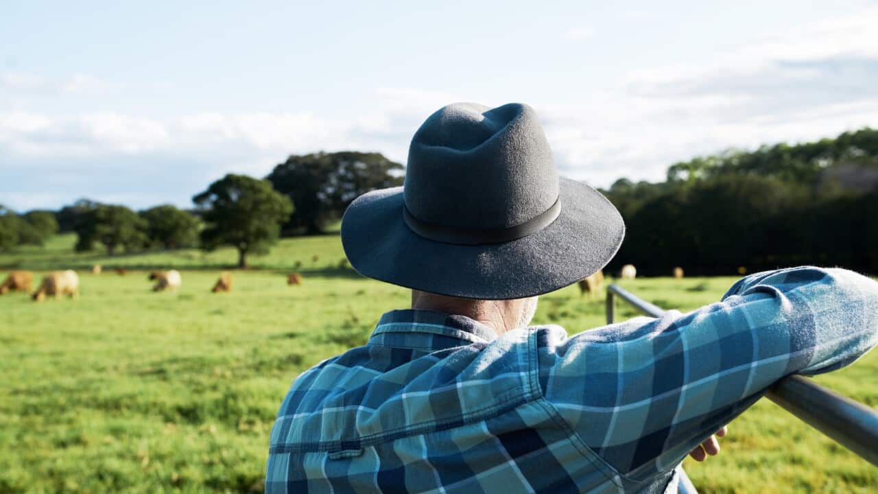 The groceries that could rise 20 per cent in price, as farmers issue warning
