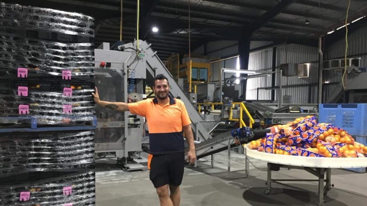 Courtesy of Luca Tocci