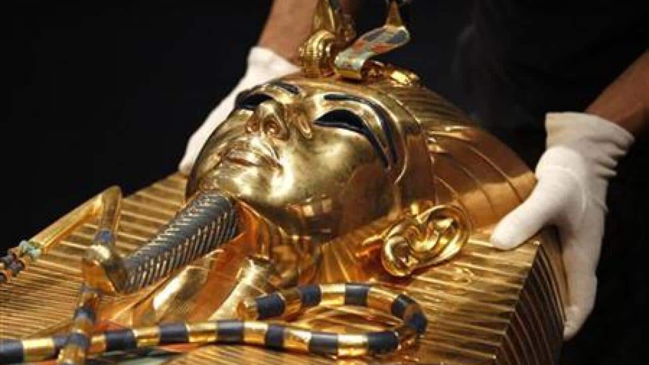 half-of-european-men-share-king-tut-s-dn-1287647345-large.jpg