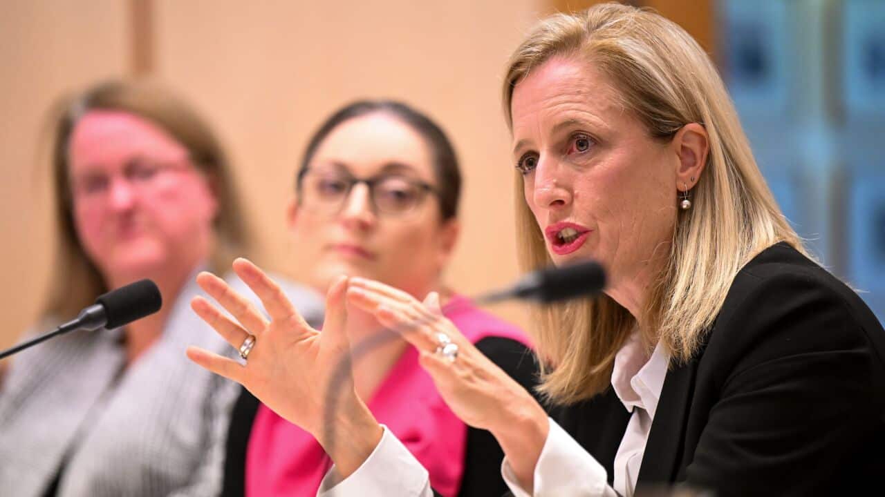 Senior Labor minister Katy Gallagher