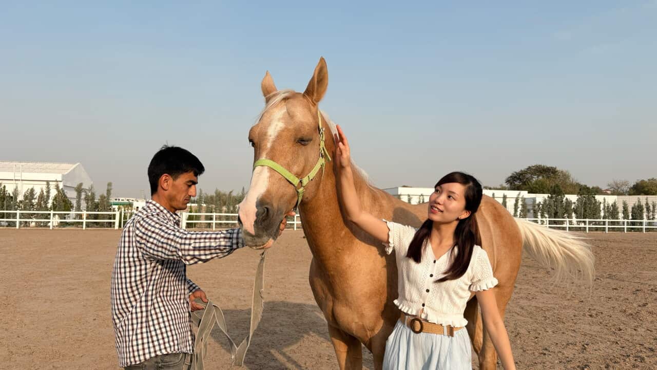 IMG_5497.jpg