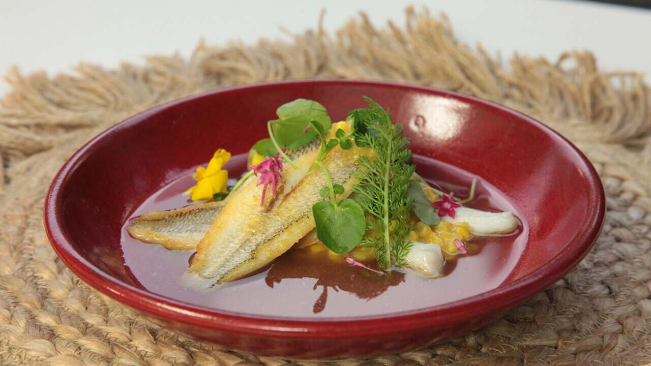 Smashed Corn Seared whiting with smashed corn and shiitake broth recipe | SBS Food