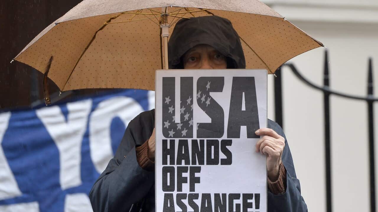 Assange